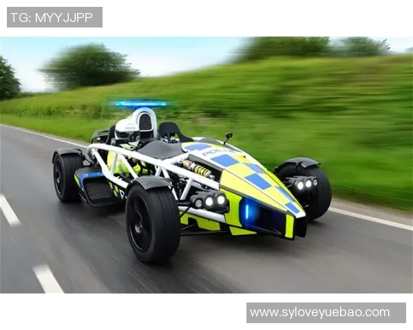 F1赛车燃料策略对比赛结果的影响