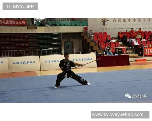 体育表演赛商业价值的多维度探索与市场潜力深度分析