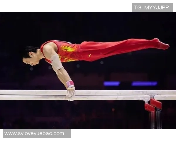 奥运会体操高难度动作解析与科学训练策略研究探索